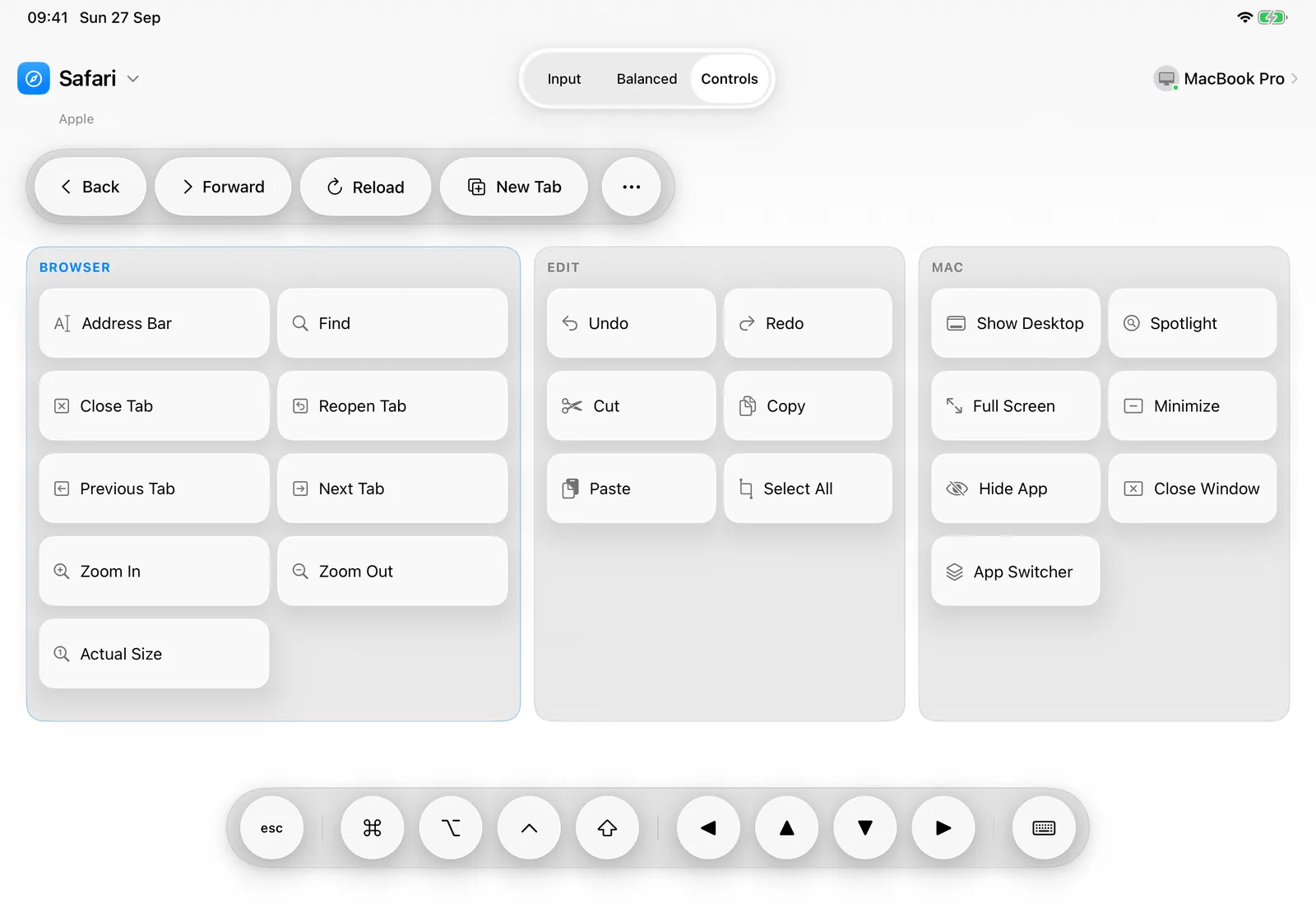 ControlPad on iPad in Controls layout, showing Safari's commands
