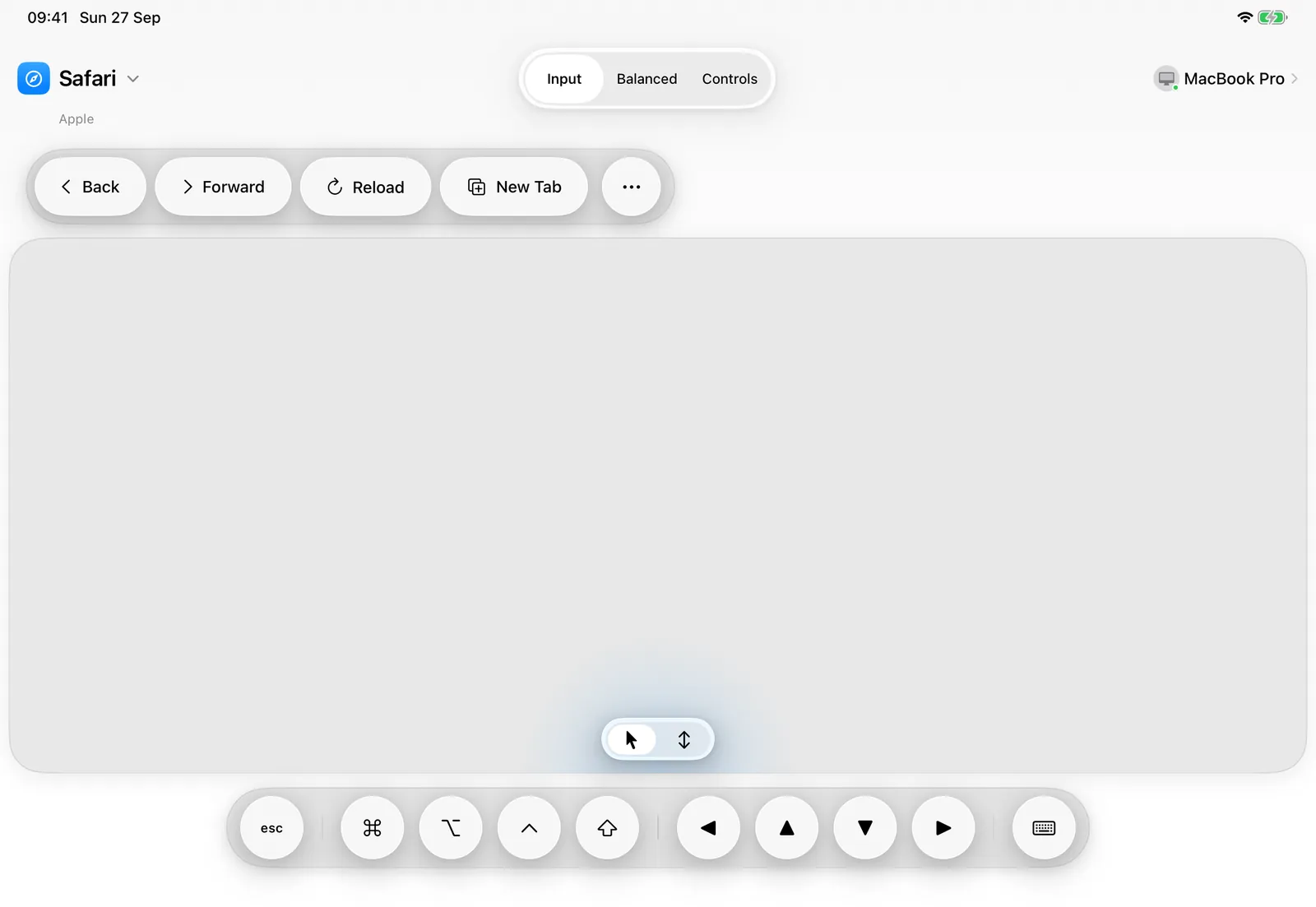 Input layout: the whole iPad is a trackpad, with the app's top commands above it